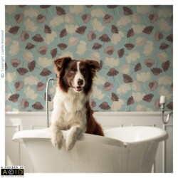 Wallpaper mock-up of Home Grown Flower Silhouette Sketches on Sterling Blue by Lisette Niemand, shown in a bathroom with a ball-and-claw tub and a dog inside.